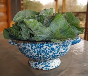 gomen ethiopian food