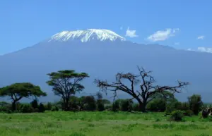 where is kilimanjaro located